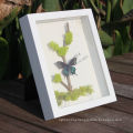 Good quality 3D Deep solid wood display shadow box for plant insects butterfly specimens frame